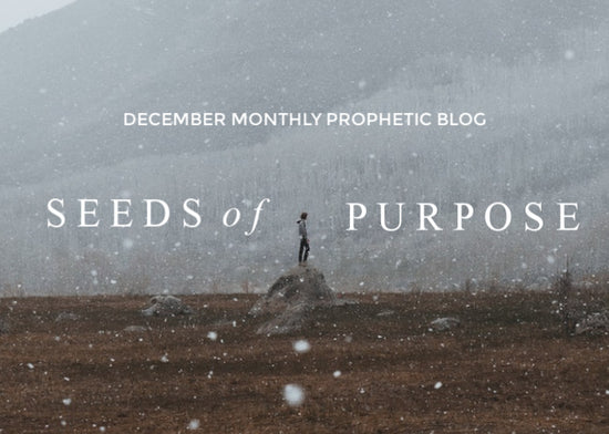 Seeds of Purpose | December Monthly Blog