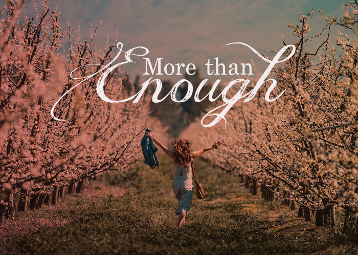 More Than Enough | February Monthly Blog