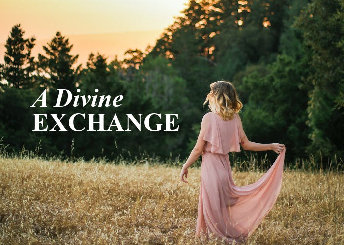 A Divine Exchange | November Monthly Blog