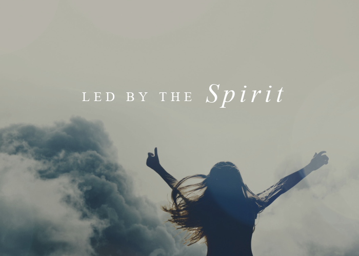 Led by the Spirit | Nov. Monthly Blog