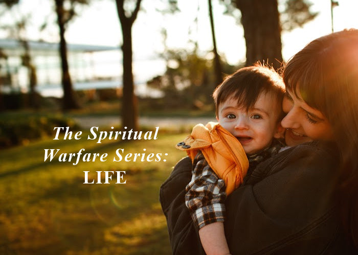 The Spiritual Warfare Collection: Life