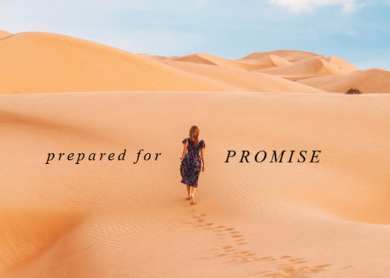 Prepared For Promise | July Monthly Blog